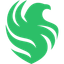 Falcons Logo